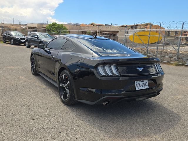 2023 Ford Mustang EcoBoost