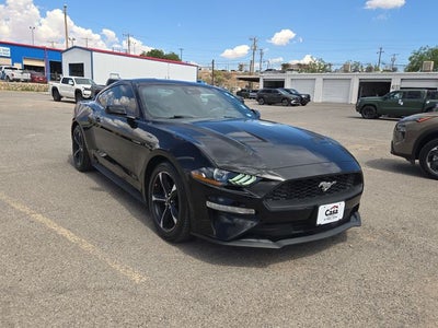 2023 Ford Mustang EcoBoost