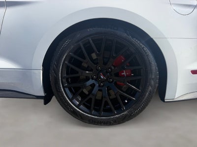 2019 Ford Mustang GT Premium STAGE 2 ROUSH